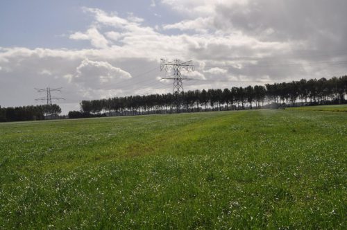 DSC 0110